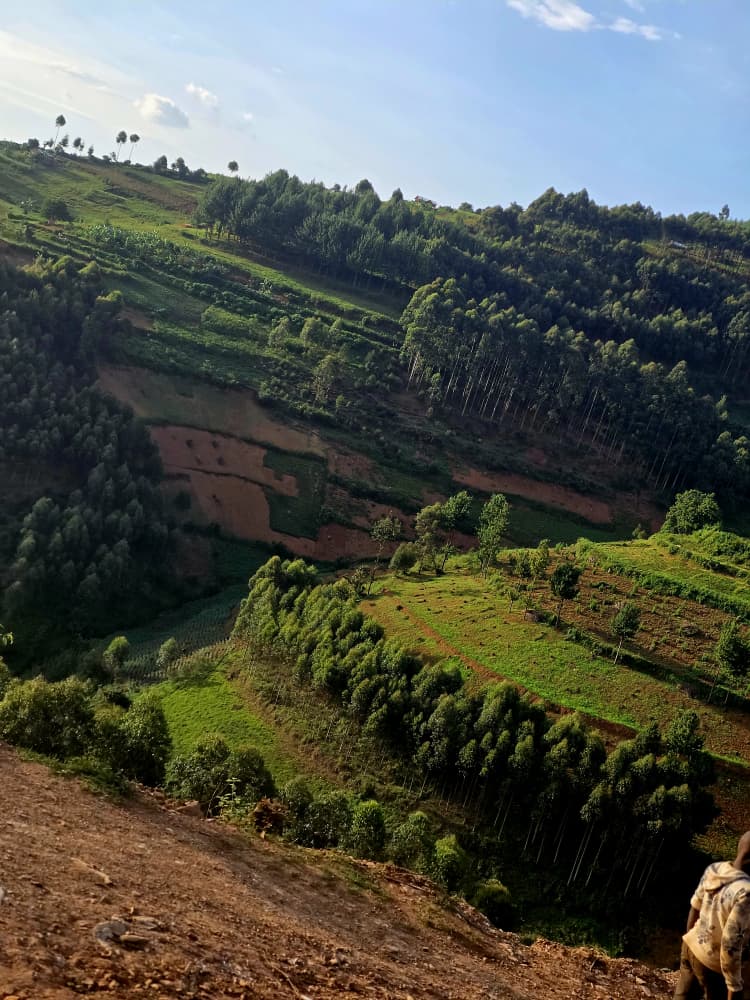 The hills of Uganda